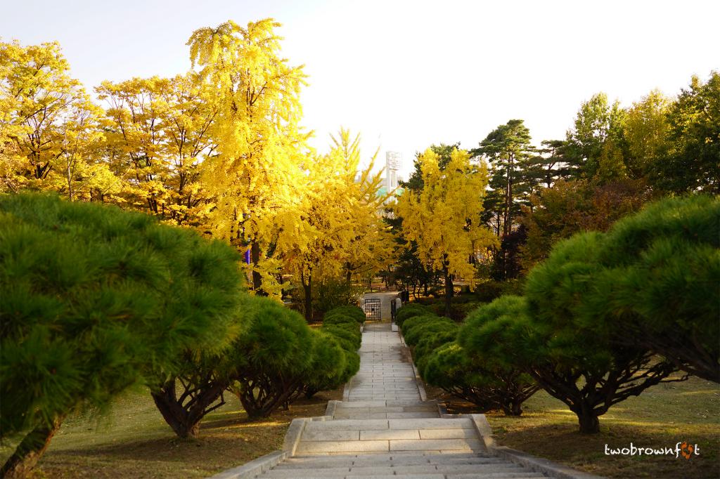 Best of Seoul’s Parks and Gardens in Autumn, Seoul, South Korea (B)