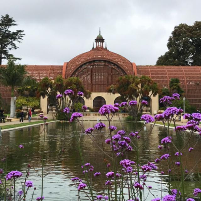 Top 10 Things to See and Do In and Around San Diego, San Diego