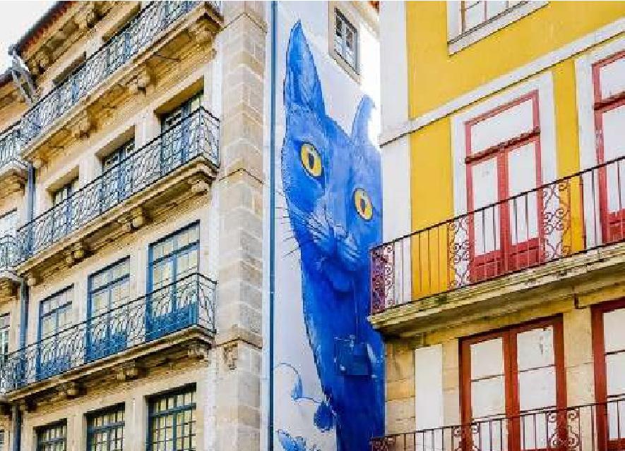 Spectacular Street Art in Porto, Portugal, Porto, Portugal (B)