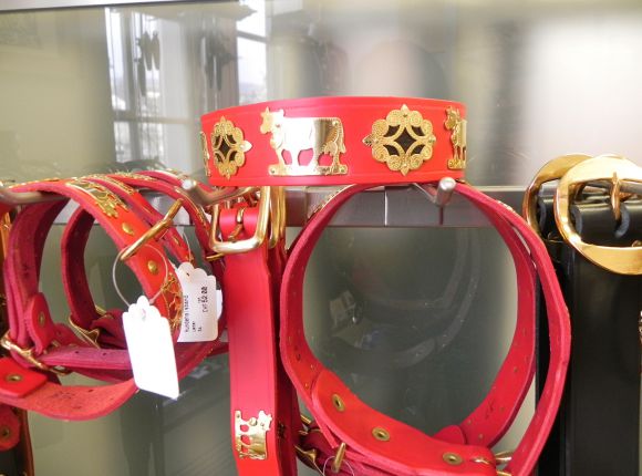 Appenzeller Dog Collar