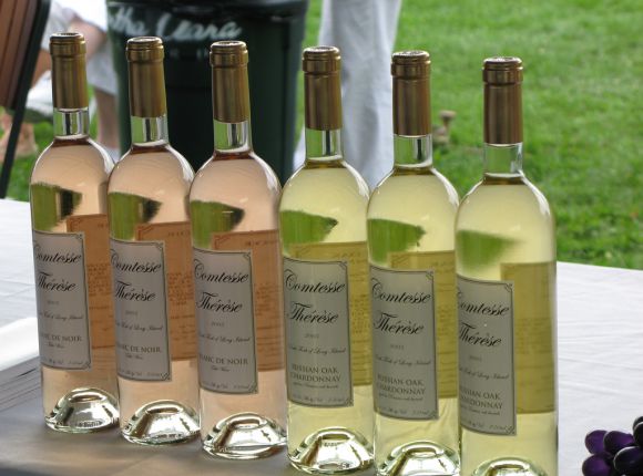 Long Island Wine
