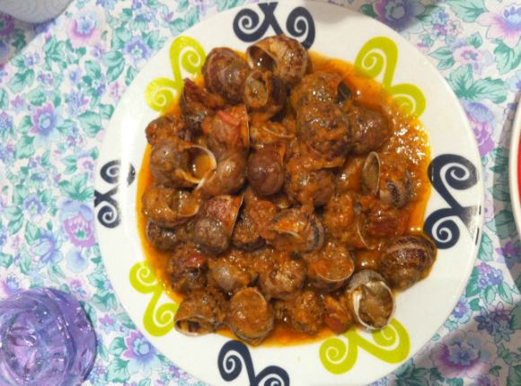 Snails