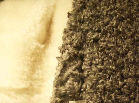 Soft and Curly Lambskins for Fireplace