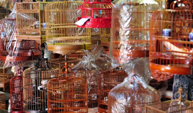 Mong Kok Shopping, Hong Kong