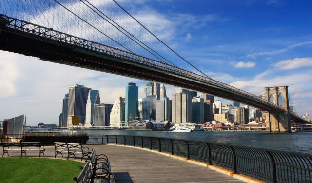 Dumbo Walk