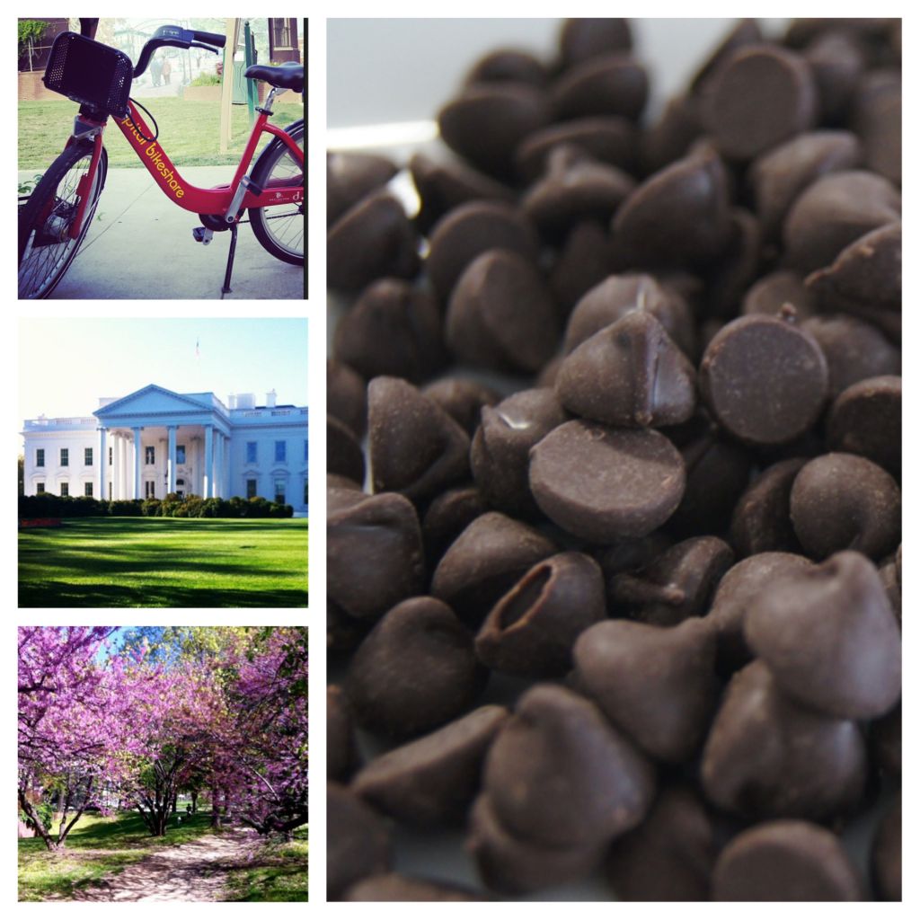 Washington DC Chocolate Tour