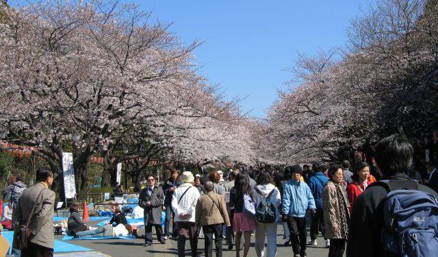 Ueno Park Walking Tour