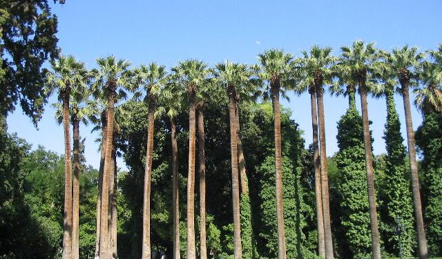 Walking Around the National Garden