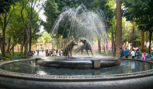 Coyoacan District Walking Tour