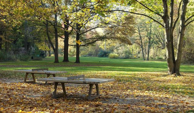 Tiergarten Walking Tour
