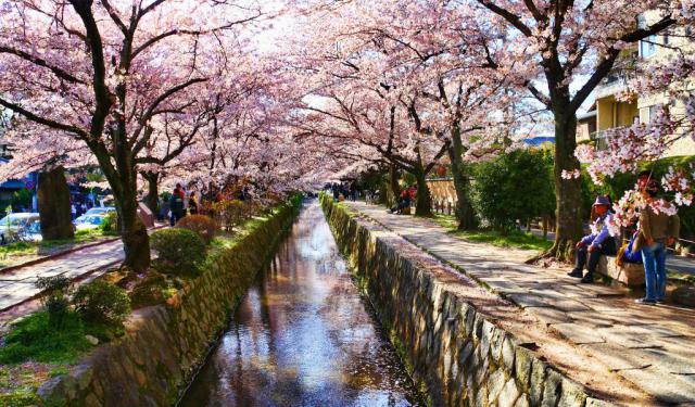 Walk on Philosopher's Path