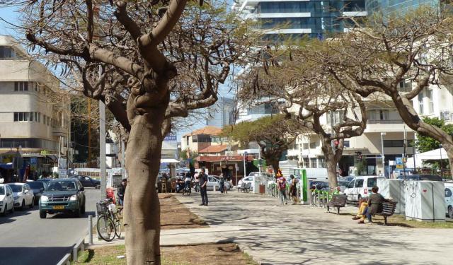Tel Aviv White City Architecture Tour