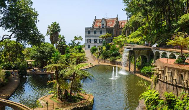 Monte Walking Tour