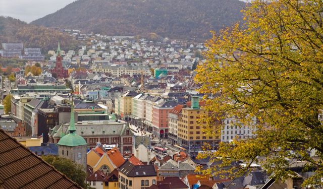 Bergen Introduction Walking Tour, Bergen