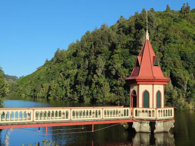 Zealandia, Wellington