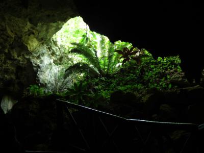 Cenote Chaak Tun, Playa del Carmen