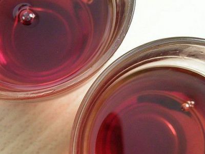 Abattoir Café, Strasbourg