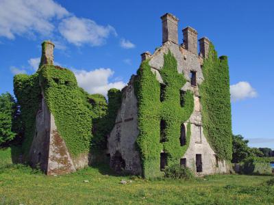 Menlo Castle, Galway