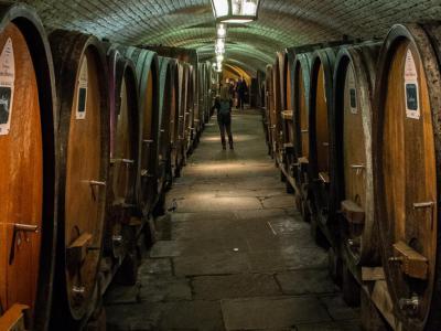 Cave Historique des Hospices de Strasbourg, Strasbourg