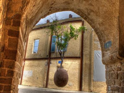 Suspended Orange Tree, Tel Aviv