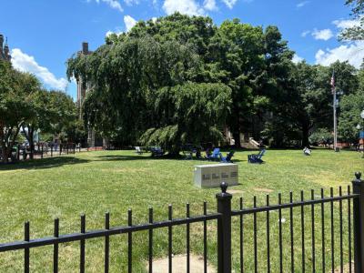 Copley Lawn