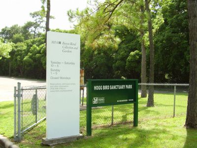 Bayou Bend Collection and Gardens, Houston
