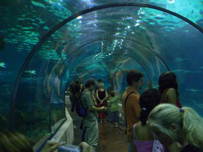 Aquarium de Barcelona (Barcelona Aquarium), Barcelona