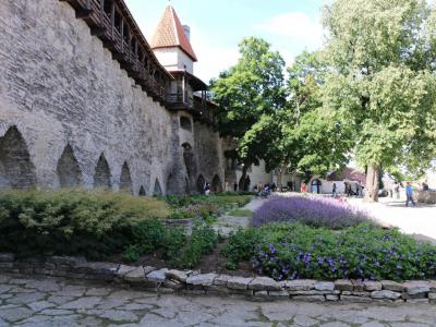 Taani Kuninga ( Danish King's Garden)