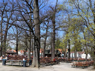Hirschgarten Beer Garden, Munich