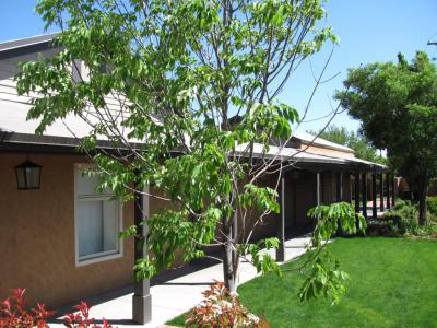 Salvador Armijo House, Albuquerque