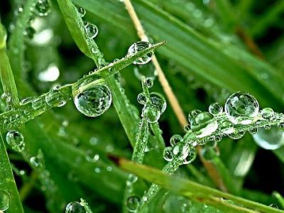Parc de la Maison Blanche, Marseille