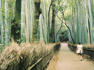 Arashiyama Bamboo Path, Kyoto