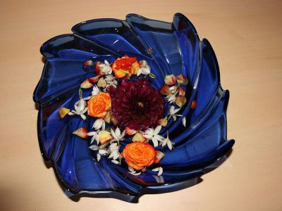 The Giving Tree Gallery, Sarasota