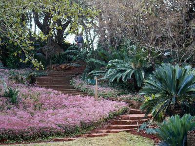 Pretoria National Botanical Garden, Pretoria