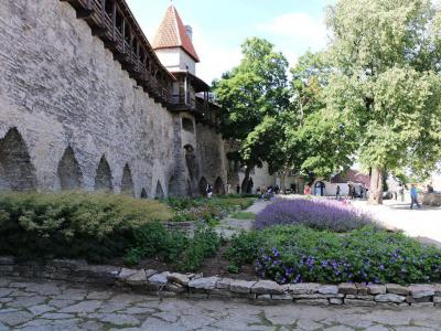 Danish King's Garden
