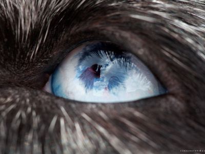 Raquel Arnaud’s Art Gallery, Sao Paulo