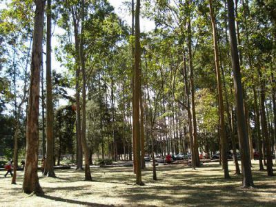 Parque Metropolitano La Sabana