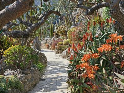 Jardin Exotique de Monaco (Exotic Garden of Monaco)