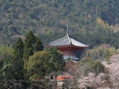 Daikaku-ji Temple, Kyoto