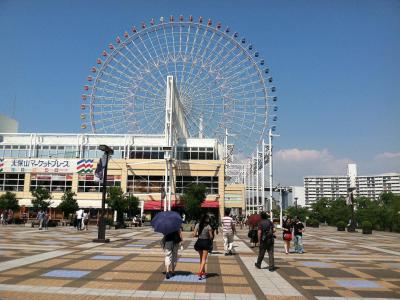 Tempozan Harbor Village Ferris Wheel Osaka