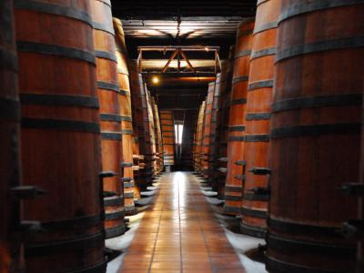 Viña Cousino Macul, Santiago