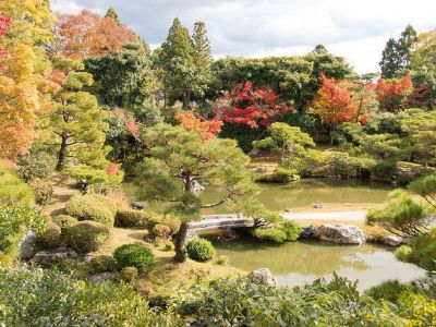 Ninna-ji Temple, Kyoto