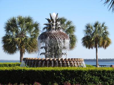 Joe Riley Waterfront Park Wedding