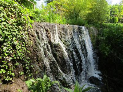University Botanical Garden Ecopark, Varna