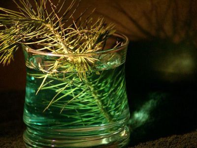 Il Campidoglio, Verona