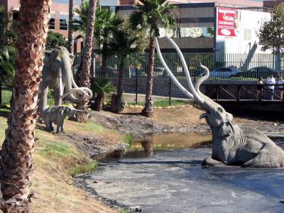 La Brea Tar Pits, Los Angeles