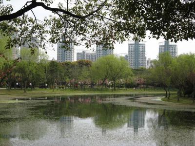 Century Park, Shanghai