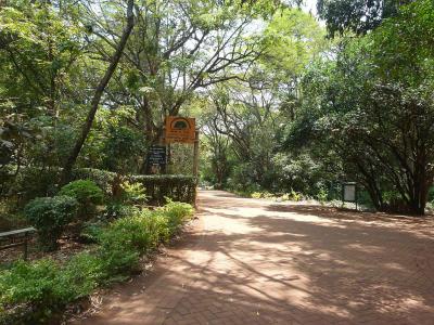 Nairobi Arboretum, Nairobi