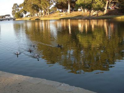 El Estero - Paddle Boats, Monterey