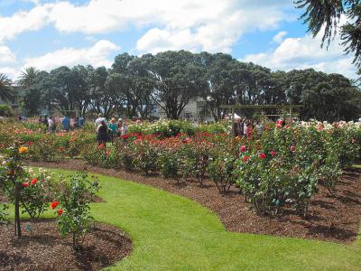 Parnell Rose Gardens, Auckland